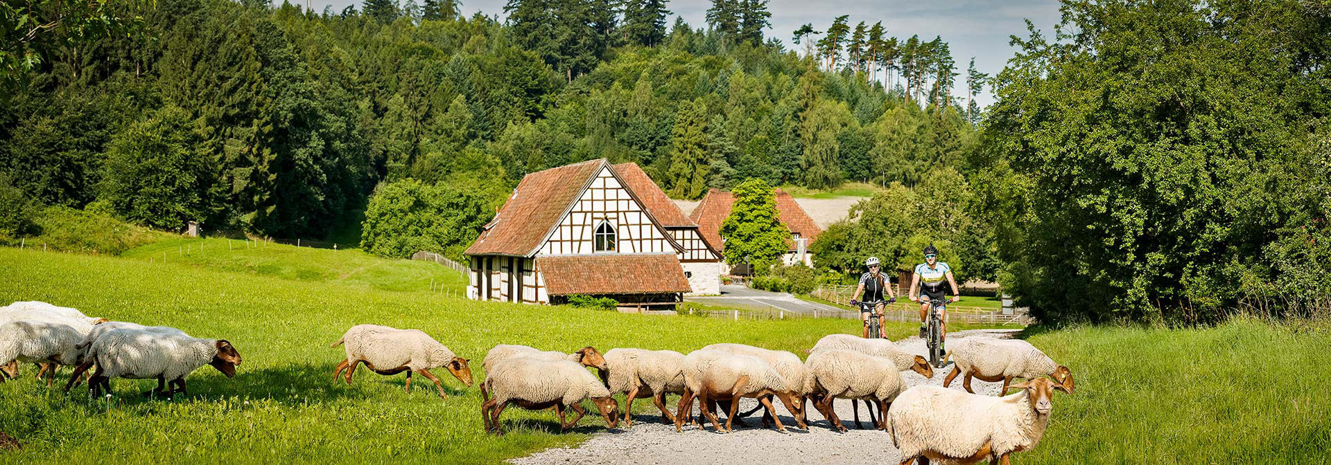 Sportangebote Coburg